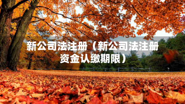 新公司法注册（新公司法注册资金认缴期限）