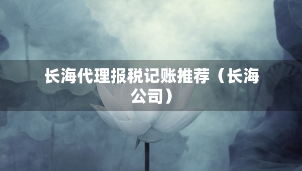 长海代理报税记账推荐（长海公司）
