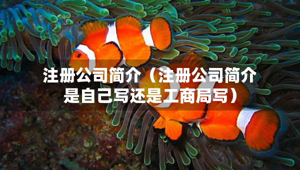 注册公司简介（注册公司简介是自己写还是工商局写）