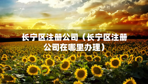 长宁区注册公司（长宁区注册公司在哪里办理）