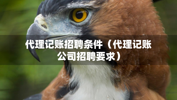 代理记账招聘条件（代理记账公司招聘要求）