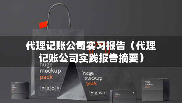 代理记账公司实习报告（代理记账公司实践报告摘要）