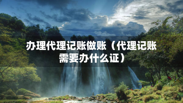 办理代理记账做账（代理记账需要办什么证）