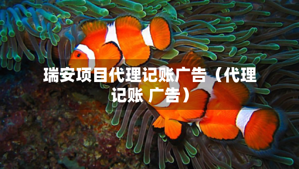 瑞安项目代理记账广告（代理记账 广告）