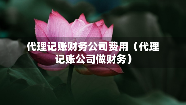 代理记账财务公司费用（代理记账公司做财务）