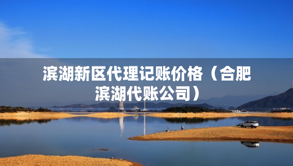 滨湖新区代理记账价格（合肥滨湖代账公司）