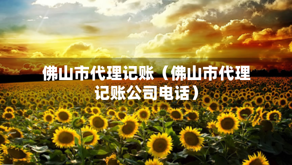 佛山市代理记账（佛山市代理记账公司电话）