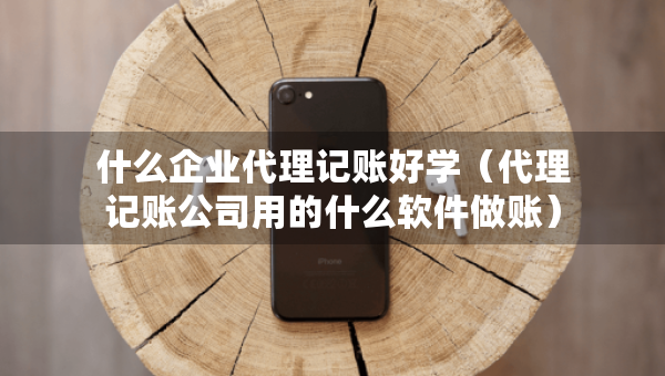 什么企业代理记账好学（代理记账公司用的什么软件做账）