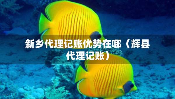 新乡代理记账优势在哪（辉县代理记账）