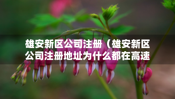 雄安新区公司注册（雄安新区公司注册地址为什么都在高速会议中心）