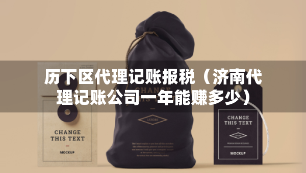 历下区代理记账报税（济南代理记账公司一年能赚多少）