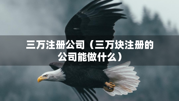 三万注册公司（三万块注册的公司能做什么）