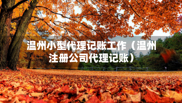 温州小型代理记账工作（温州注册公司代理记账）
