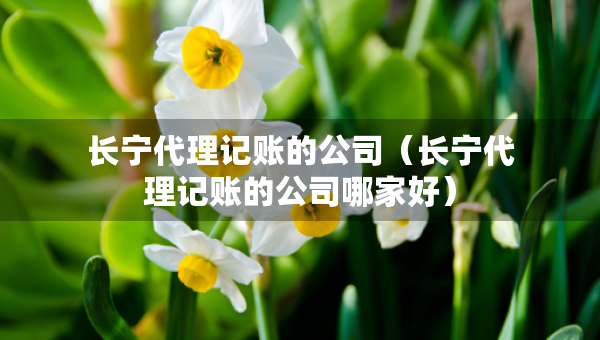 长宁代理记账的公司（长宁代理记账的公司哪家好）