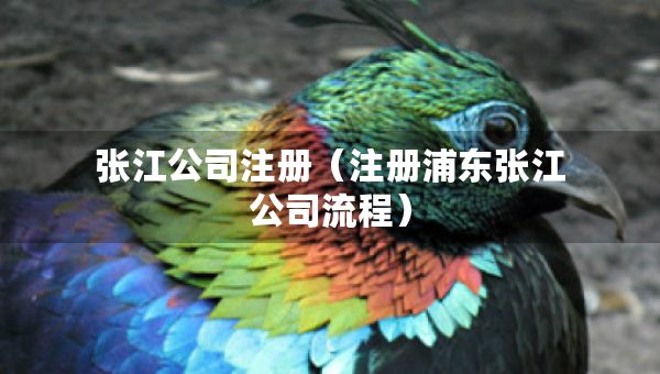 张江公司注册（注册浦东张江公司流程）