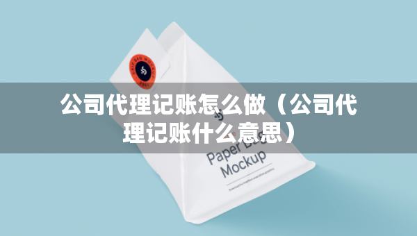 公司代理记账怎么做（公司代理记账什么意思）