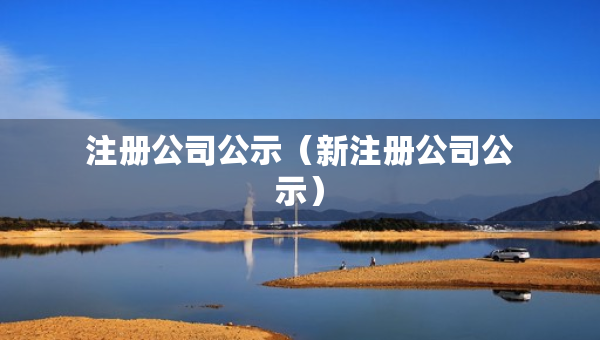 注册公司公示（新注册公司公示）