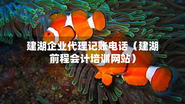 建湖企业代理记账电话（建湖前程会计培训网站）