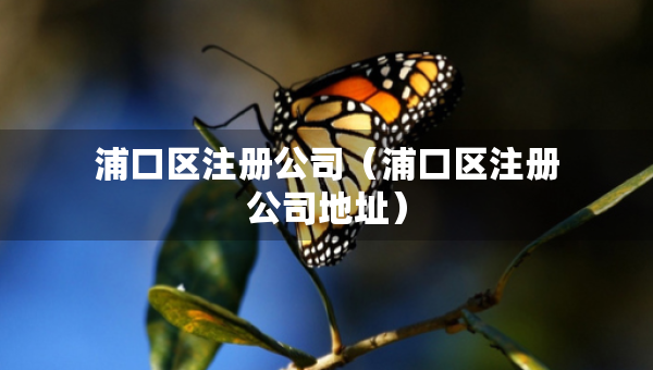 浦口区注册公司（浦口区注册公司地址）