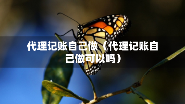 代理记账自己做（代理记账自己做可以吗）