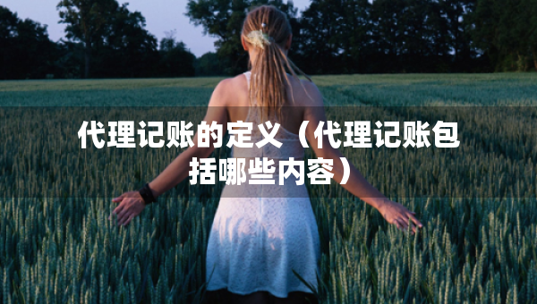 代理记账的定义（代理记账包括哪些内容）