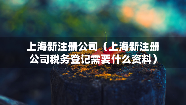 上海新注册公司（上海新注册公司税务登记需要什么资料）