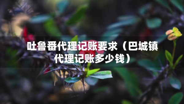吐鲁番代理记账要求（巴城镇代理记账多少钱）