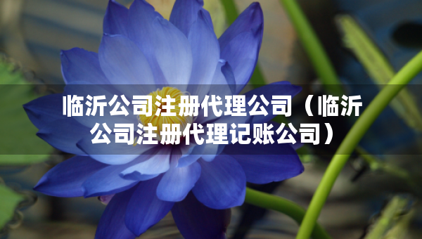 临沂公司注册代理公司（临沂公司注册代理记账公司）