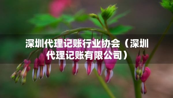 深圳代理记账行业协会（深圳代理记账有限公司）