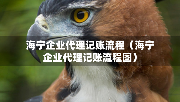 海宁企业代理记账流程（海宁企业代理记账流程图）