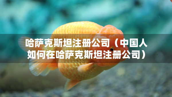 哈萨克斯坦注册公司（中国人如何在哈萨克斯坦注册公司）