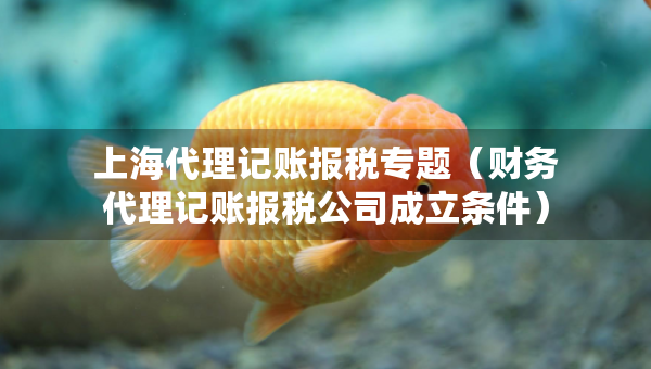 上海代理记账报税专题（财务代理记账报税公司成立条件）
