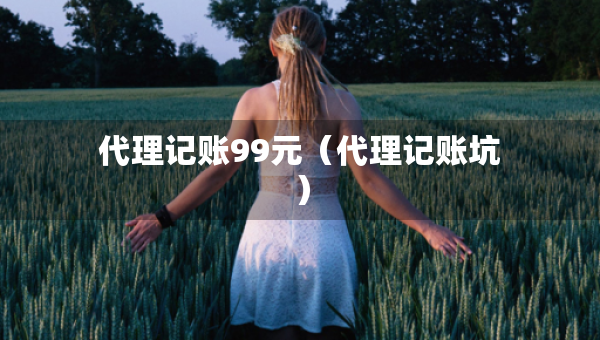 代理记账99元（代理记账坑）