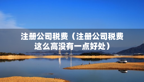 注册公司税费（注册公司税费这么高没有一点好处）