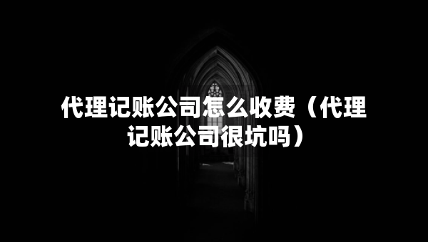代理记账公司怎么收费（代理记账公司很坑吗）