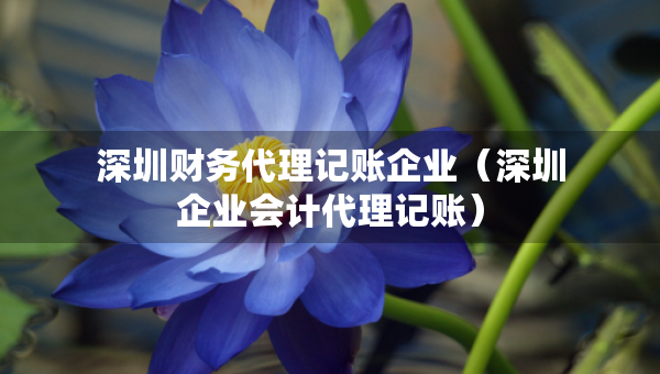 深圳财务代理记账企业（深圳企业会计代理记账）