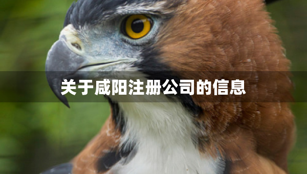 关于咸阳注册公司的信息