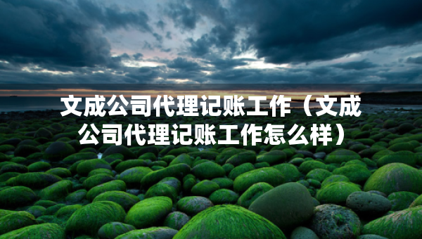 文成公司代理记账工作（文成公司代理记账工作怎么样）