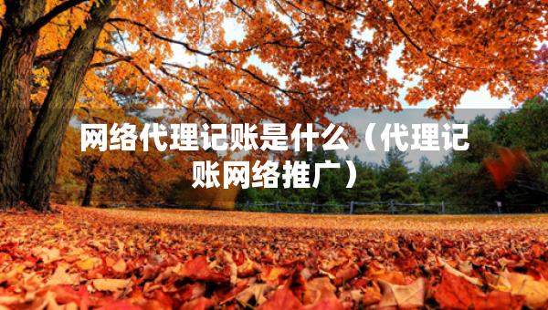 网络代理记账是什么（代理记账网络推广）