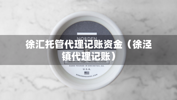徐汇托管代理记账资金（徐泾镇代理记账）