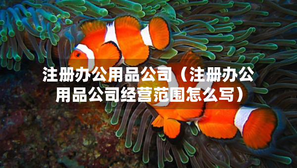 注册办公用品公司（注册办公用品公司经营范围怎么写）