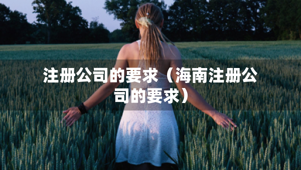 注册公司的要求（海南注册公司的要求）