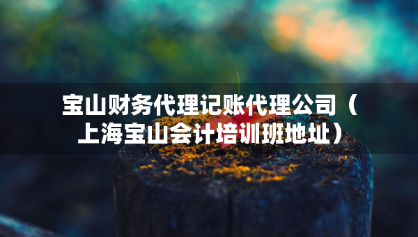 宝山财务代理记账代理公司（上海宝山会计培训班地址）