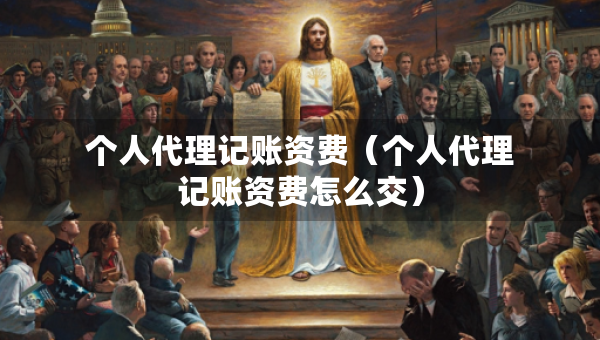 个人代理记账资费（个人代理记账资费怎么交）