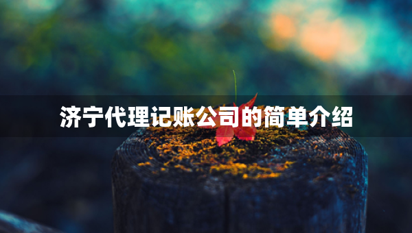 济宁代理记账公司的简单介绍