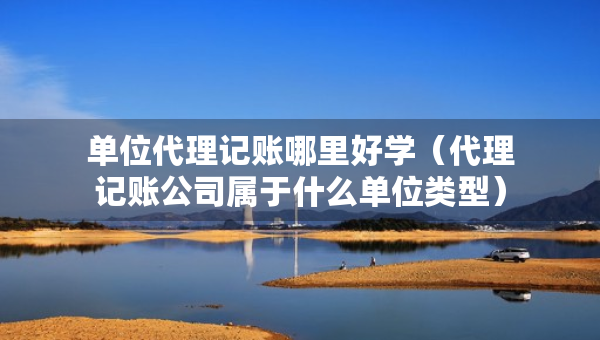 单位代理记账哪里好学（代理记账公司属于什么单位类型）