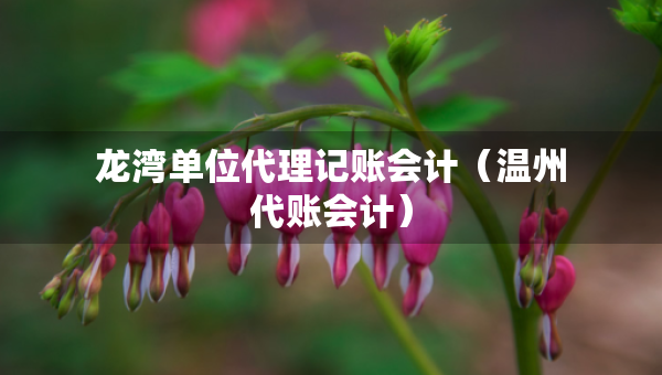 龙湾单位代理记账会计（温州代账会计）