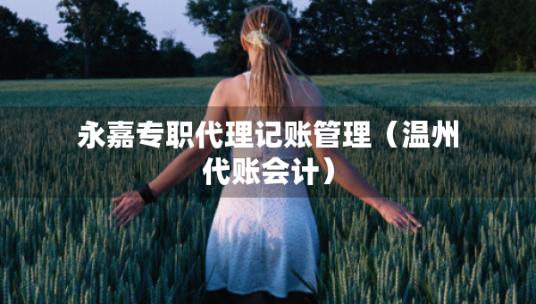 永嘉专职代理记账管理（温州代账会计）