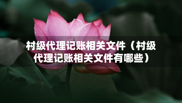 村级代理记账相关文件（村级代理记账相关文件有哪些）