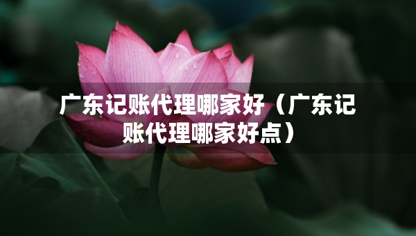 广东记账代理哪家好（广东记账代理哪家好点）